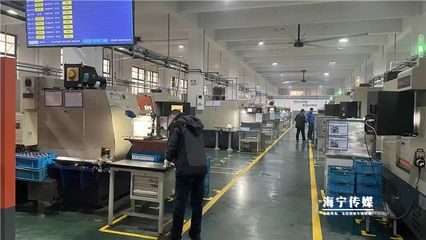 奇晟轴承:马力全开赶订单 冲刺新春“开门红”