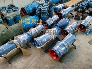 农用抗旱防汛潜水轴流泵 大流量井筒式轴流泵厂价直销